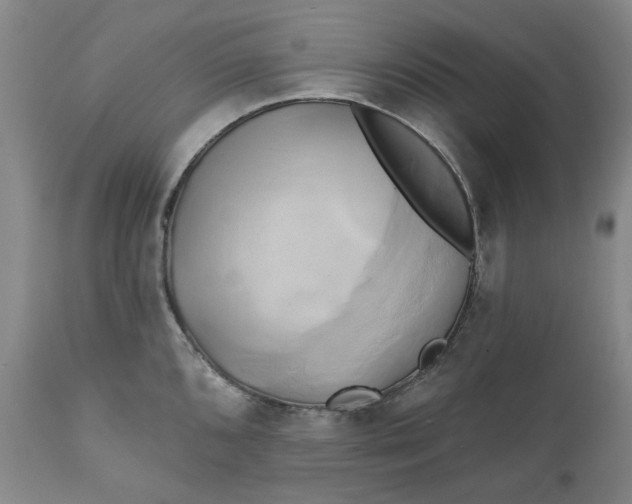 X0000111241096200907161335