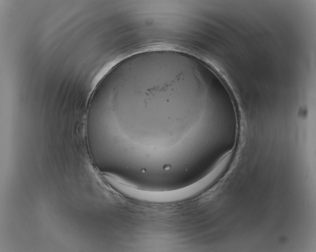 X0000111241097200907161335