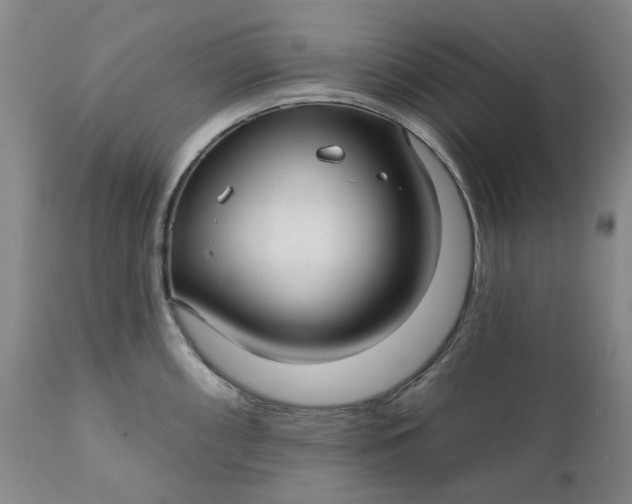 X0000111241098200907161335