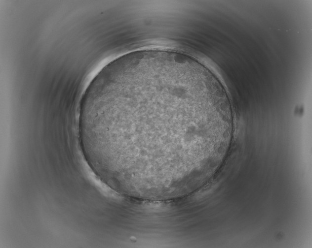 X0000111241099200907161335