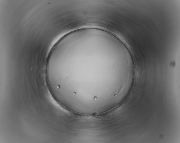 X0000111241100200907161335