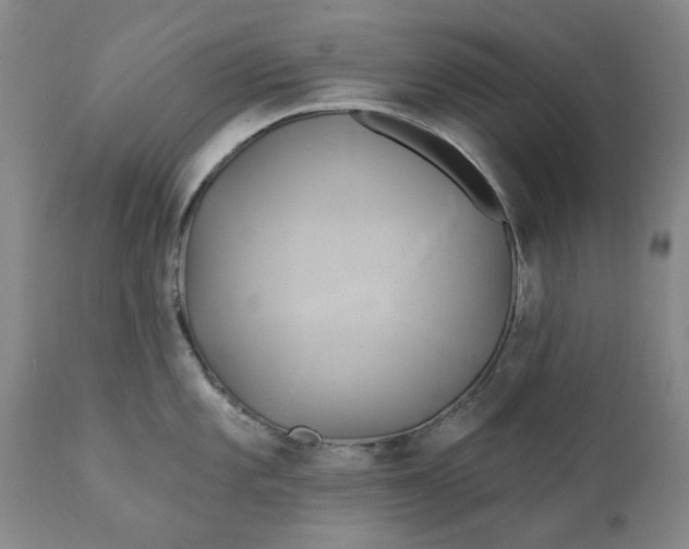 X0000111241101200907161335