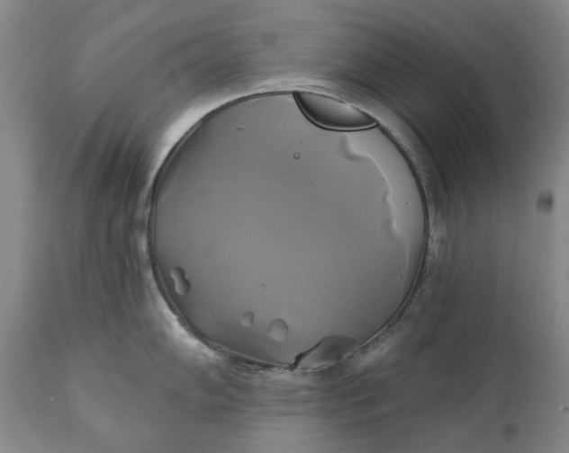 X0000111241102200907161335