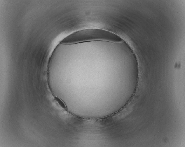 X0000111241104200907161335