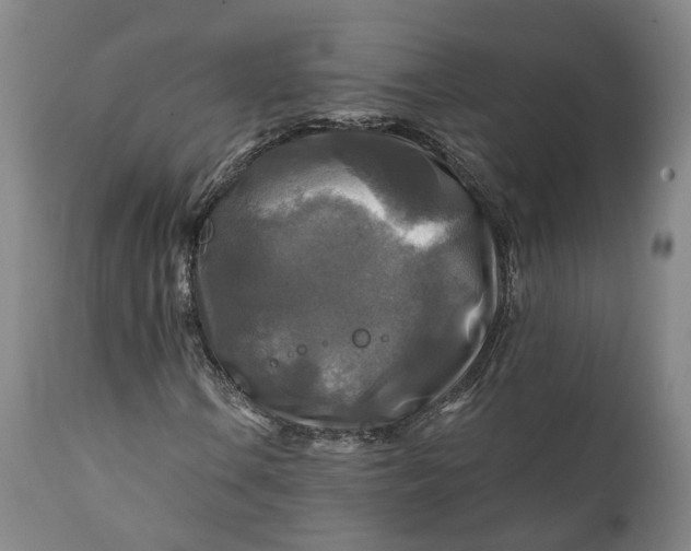 X0000111241106200907161334