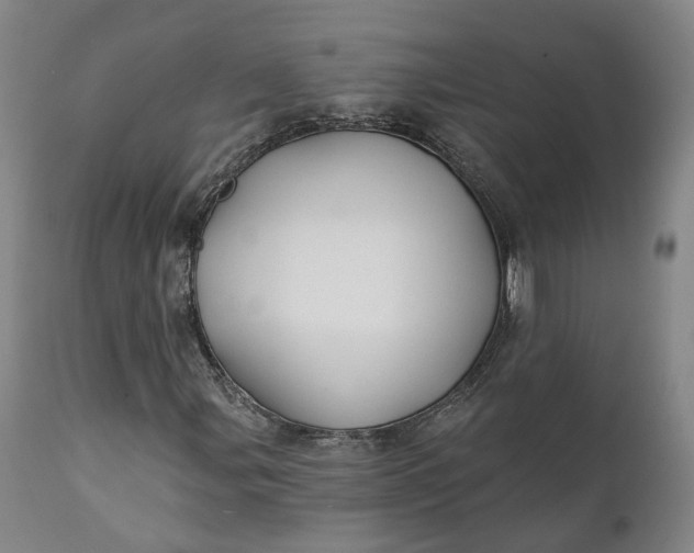 X0000111241107200907161334