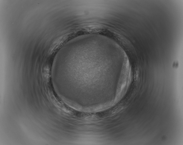 X0000111241108200907161334