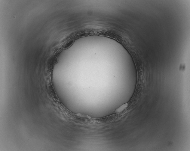 X0000111241109200907161334