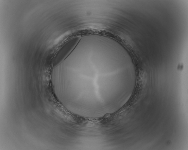 X0000111241110200907161334