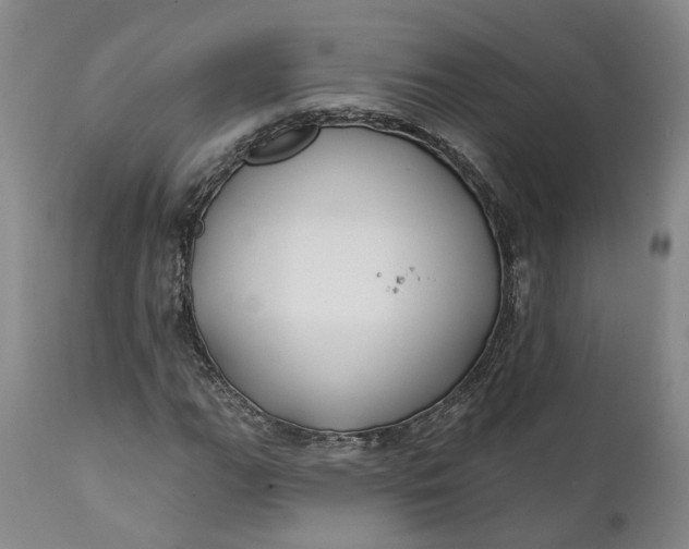 X0000111241111200907161334