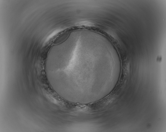 X0000111241112200907161334