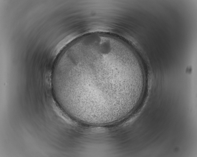 X0000111241113200907161334