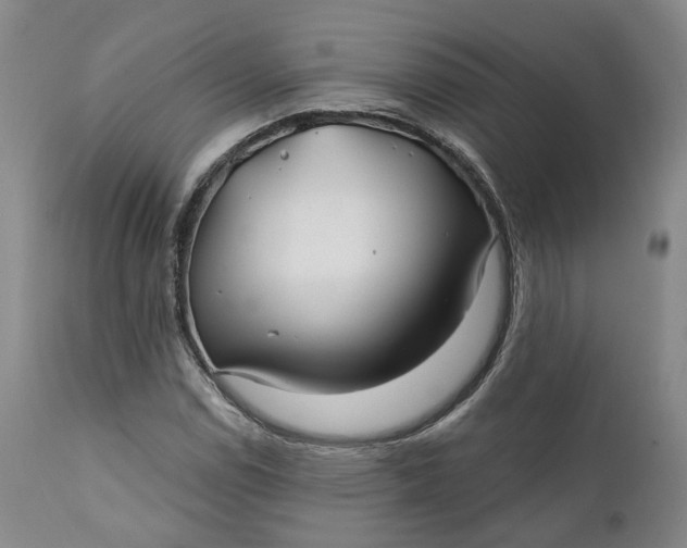 X0000111241114200907161334