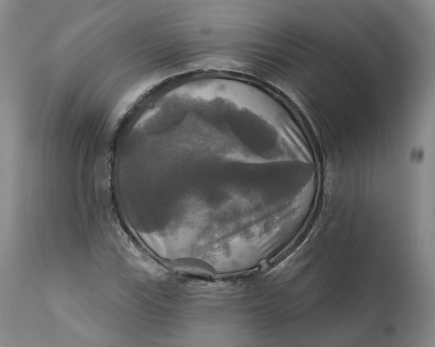 X0000111241115200907161334