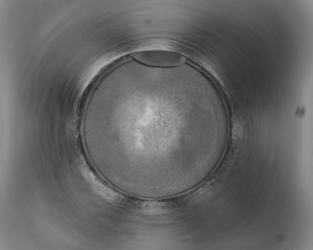 X0000111241116200907161334