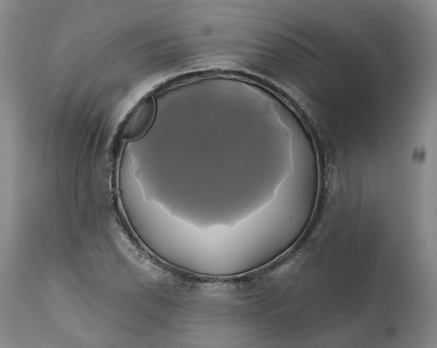 X0000111241118200907161334