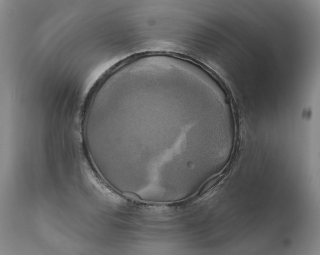 X0000111241120200907161334