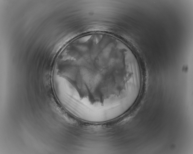 X0000111241121200907161334