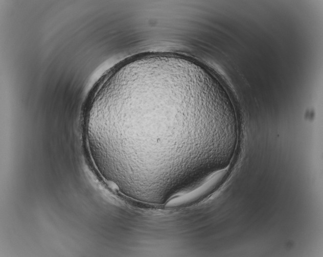 X0000111241122200907161334