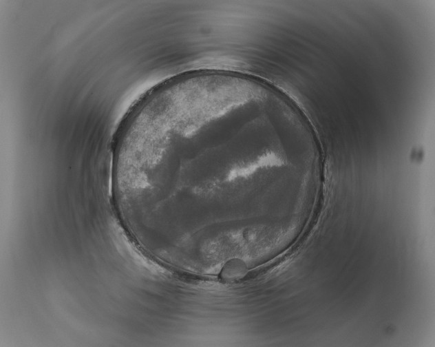 X0000111241123200907161334