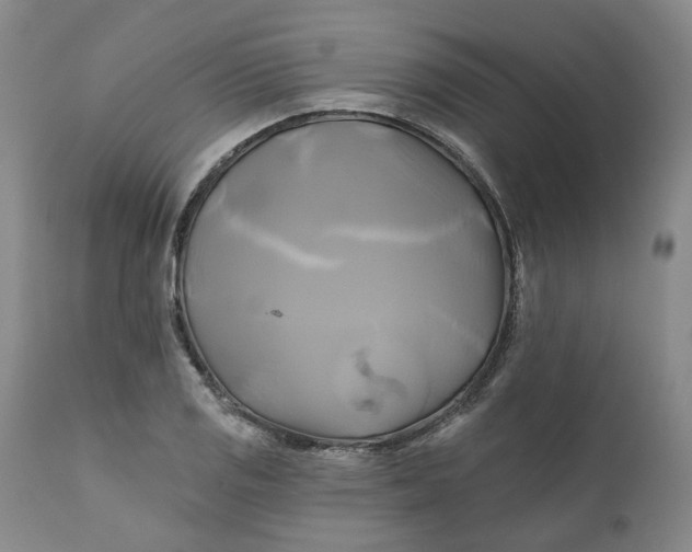 X0000111241125200907161334