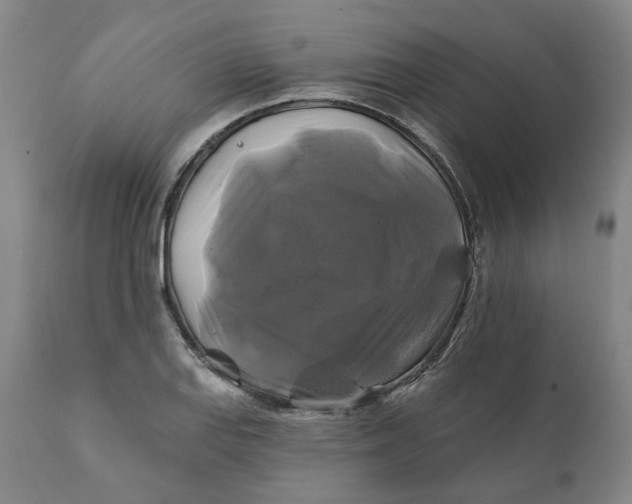 X0000111241127200907161334