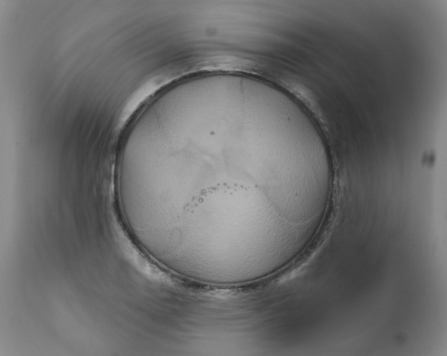 X0000111241130200907161334