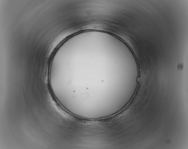 X0000111241131200907161334