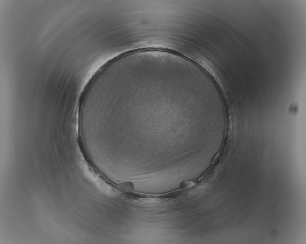 X0000111241132200907161334