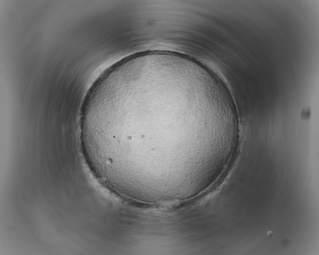 X0000111241133200907161334