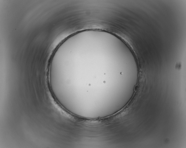 X0000111241135200907161334