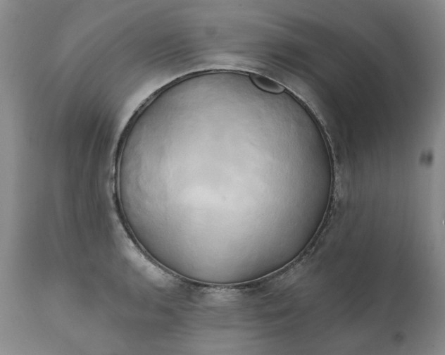 X0000111241136200907161334