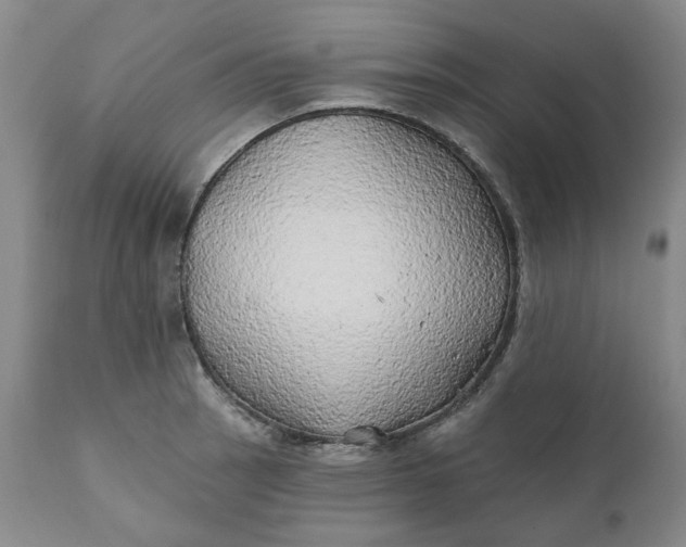 X0000111241137200907161334