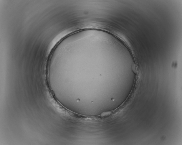 X0000111241138200907161334