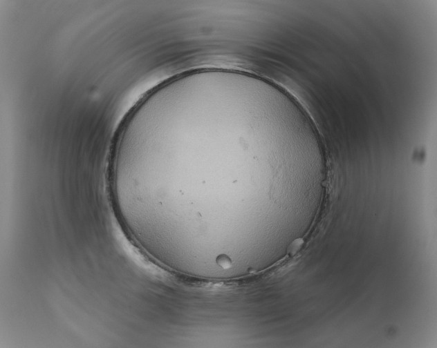 X0000111241139200907161334