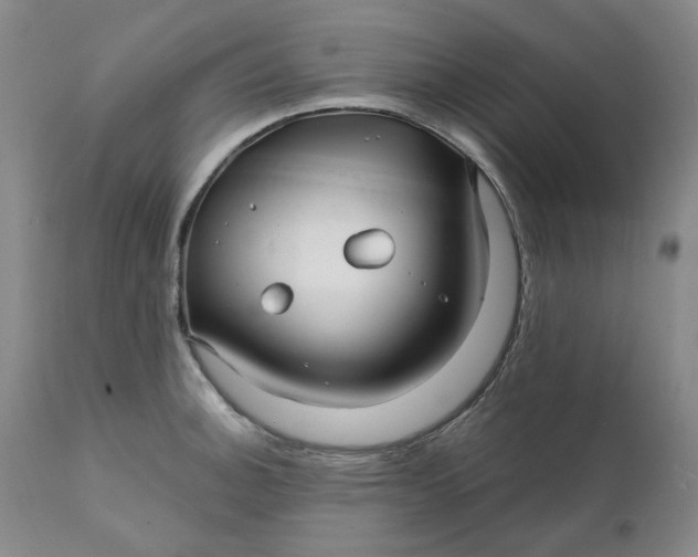 X0000111241140200907161334