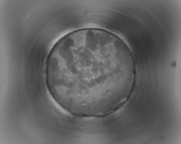 X0000111241142200907161334