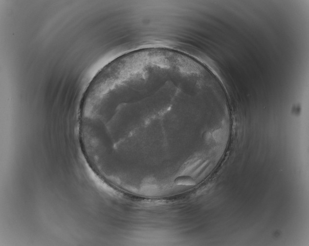 X0000111241143200907161334