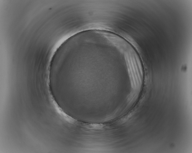 X0000111241144200907161334