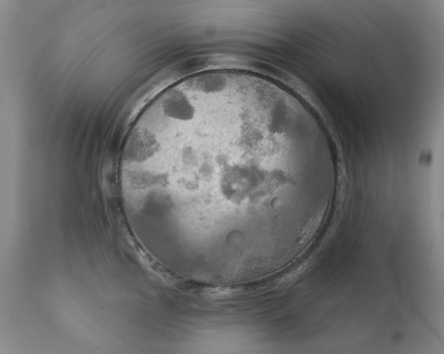 X0000111241145200907161335