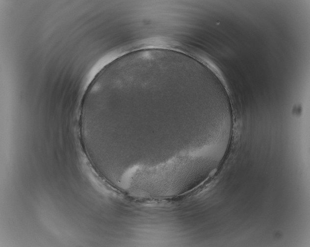 X0000111241146200907161335