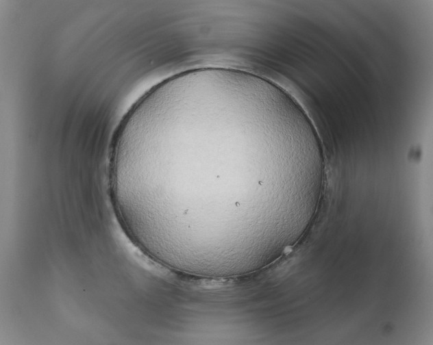 X0000111241147200907161335