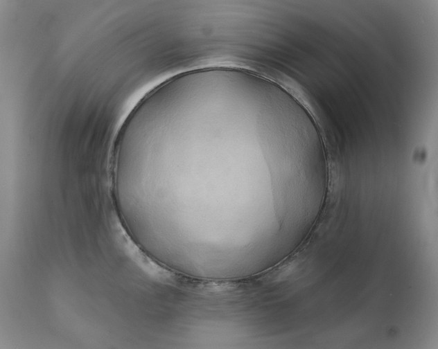 X0000111241148200907161335