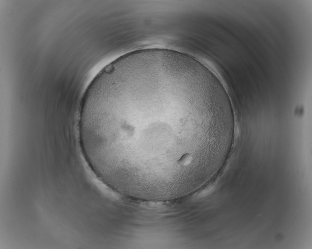 X0000111241149200907161335