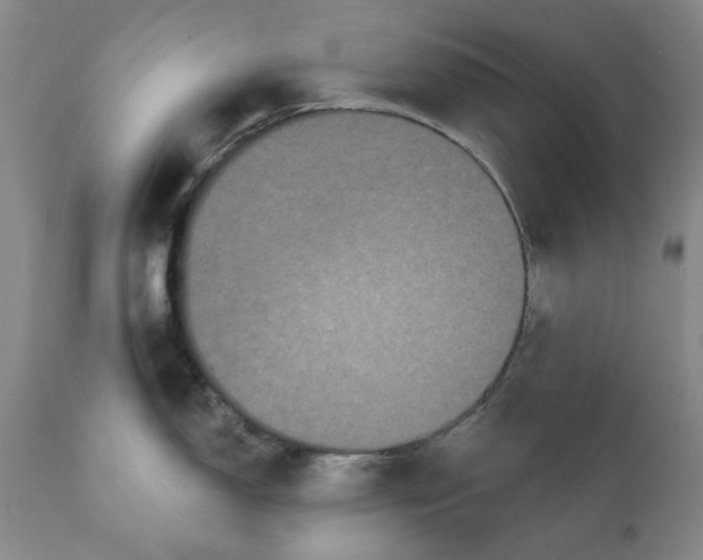 X0000111241150200907161335