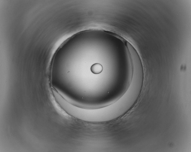 X0000111241152200907161335