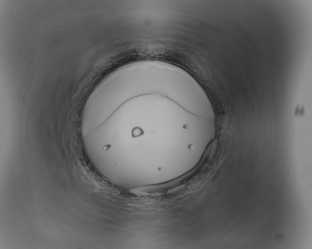 X0000111241153200907161334