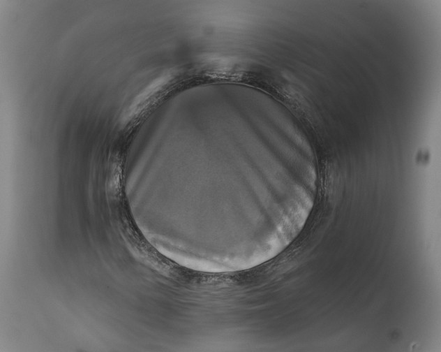 X0000111241154200907161334