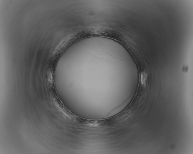 X0000111241155200907161334