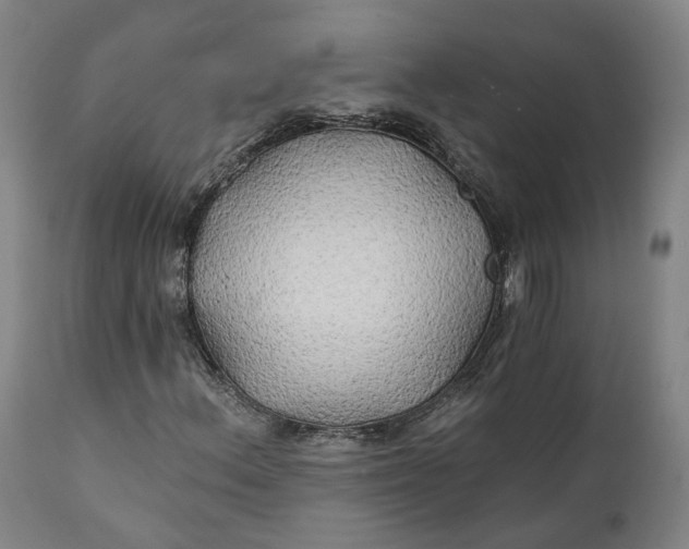 X0000111241156200907161334